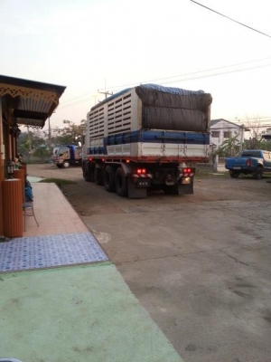 จองแล้วจากเสี่ย เนตร หนองฉาง ขอบคุณที่ไว้ใจอาทบ้านไร่ครับ