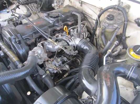 ขายถูก HILUX MIGHTY-X 4ประตู ราคา 87,000.- (ที่เชียงใหม่) ขายถูก HILUX MIGHTY-X 4ประตู ราคา 87,000.- (ที่เชียงใหม่)