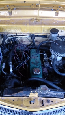 เฟียต 1100 ประตูย้อน