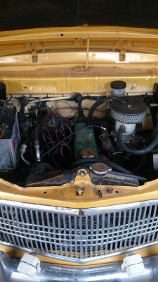 เฟียต 1100 ประตูย้อน