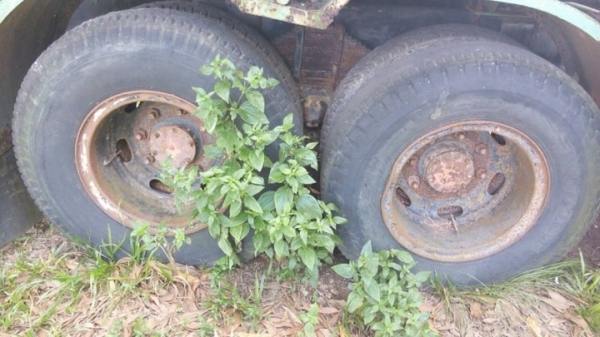 รถหัวยาว  10 ล้อ บรรทุกน้ำ  /  เปลื่ยนเครื่อง EH - 700  165 แรงม้า    สนใจติดต่อ  081 - 6079515