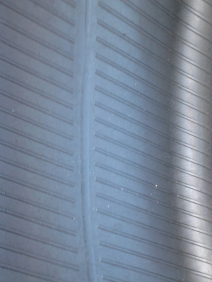 205/45R17 KAISER KENDA RADIAL ปี2012  มี 2 เส้น TEL.081-427-3941