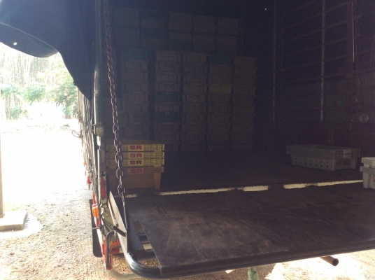 ขายรถบรรทุก 6ล้อ อีซูซุ NQR 175 Euro2