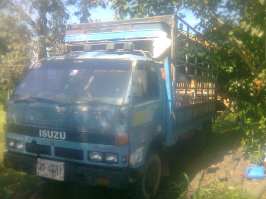 รถบรรทุก 6 ล้อ Isuzu 115 290000 ต่อรองได้ สภาพดี