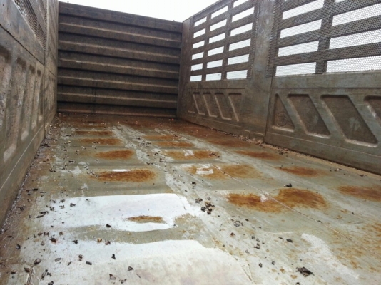 รถอีซูซุ 10 ล้อดั้ม 320 แรงม้า. ปี 51  ( ขายแม่ , ลูก. )  สนใจติดต่อ  081 - 6079515