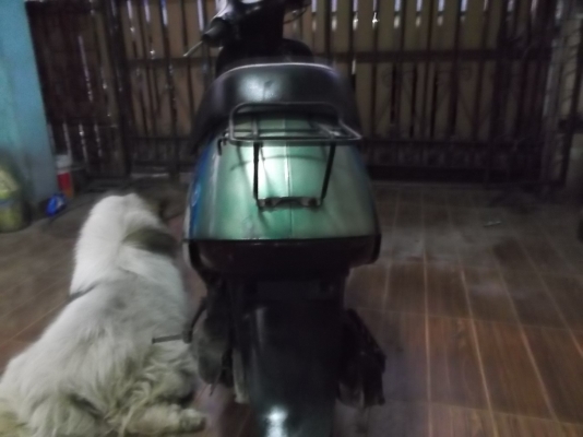 รถป๊อป ฮอนด้า รุ่นTACT เครืองติดขี่ได้ปกติ สตาร์ทเท้า สตาร์ทมือต้อง ป.แบต ขายตามสภาพ 3800 รถป๊อป ฮอนด้า รุ่นTACT เครืองติดขี่ได้ปกติ สตาร์ทเท้า สตาร์ทมือต้อง ป.แบต ขายตามสภาพ 3800