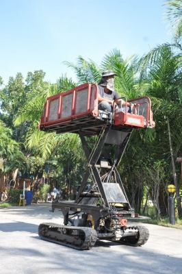 ขายรถบรรทุก ตีนตะขาบ กระเช้าROBIN มีเกียร์ สภาพ เดิมญี่ปุ่น อะเนคประสงค์45,000เท่านั้น!!