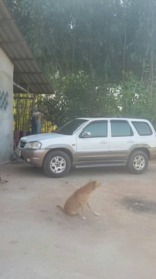 ขายด่วน!!! มาสดา ราคาถูก ขายด่วน!!! มาสดา ราคาถูก