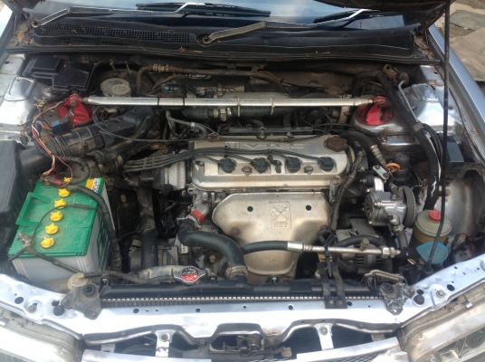 แอคคอดปี38 แอคคอดปี38