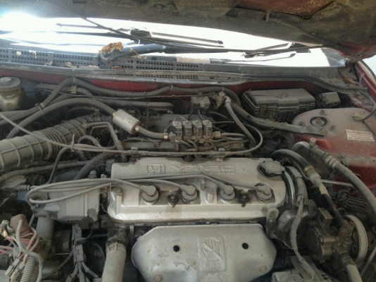 HONDA ACCORDงูเห่าปี99 โดนชนท้าย ขายตามสภาพ