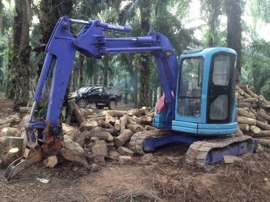 ขายรถแบ็คโฮคีบไม้ยางพารา