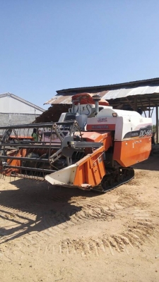ขายรถเกี่ยวข้าวKUBOTA DC60 ปี52 เครื่องดี ช่วงล่างดี ทำงานขยัน เกี่ยวเร็ว  สภาพพร้อมใช้งาน สนใจโทร 090-8588220คุณนะ ID:narong498 หรือ www.truck.in.th/498 หรือfb:ณรงค์ ซื้อขายรถมือสอง (เว็บไซต์ส่วนตัว)