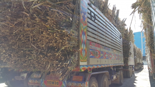 ขายดาวน์ รถพ่วง 22 ล้อ 2 เพลา แม่-ลูก กระบะเนียมคอกเกษตรดั้ม HINO 344 ปี.57 รถวิ่งแค่ 40.000 กว่ากิโล ขายแค่.850.000 สนใจโทร