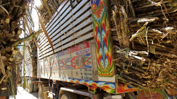 ขายดาวน์ รถพ่วง 22 ล้อ 2 เพลา แม่-ลูก กระบะเนียมคอกเกษตรดั้ม HINO 344 ปี.57 รถวิ่งแค่ 40.000 กว่ากิโล ขายแค่.850.000 สนใจโทร