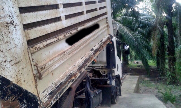 ขายรถ6ล้อดั้มพ์ ISUZU ELF NPR เครื่อง 150 แรงม้า ปี 51 วิ่ง 1xx,xxx ก.ม.สนใจโทร 081-970-1072 ขายรถ6ล้อดั้มพ์ ISUZU ELF NPR เครื่อง 150 แรงม้า ปี 51 วิ่ง 1xx,xxx ก.ม.สนใจโทร 081-970-1072