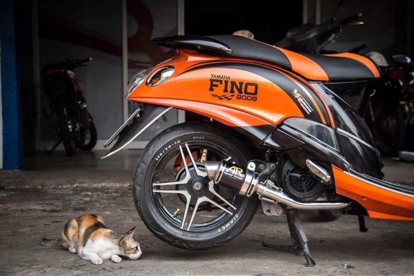 ชุดท่อแต่งFull System.MSX/KSR/Zoomer x/PCX.คอ-ปลาย.มีหลายรูปทรงให้เลือก.พร้อมปลาย ชุดท่อแต่งFull System.MSX/KSR/Zoomer x/PCX.คอ-ปลาย.มีหลายรูปทรงให้เลือก.พร้อมปลาย