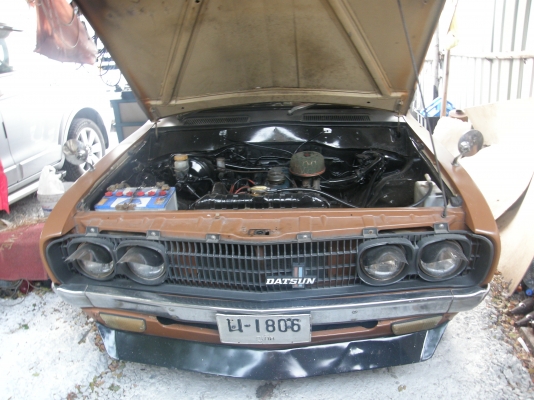 พี่ฝากขายดัสสัน 620 ช้างเหยียบ