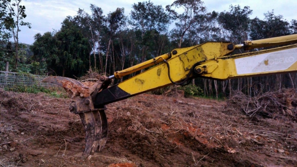 ขายรถแบคโฮ