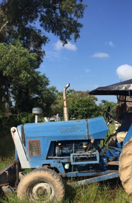 ขายรถไถ เมสซี295