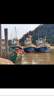 ขายเรืออวนปลากะตัก พร้อมอวนและเครื่องมือครบชุดและเรือปั่น ชื่อเรือ ชนน9 เป็นเรือใหญ่ ออกแนวน้ำลึก ขายเรืออวนปลากะตัก พร้อมอวนและเครื่องมือครบชุดและเรือปั่น ชื่อเรือ ชนน9 เป็นเรือใหญ่ ออกแนวน้ำลึก