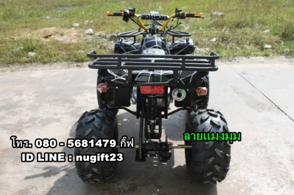 ขายรถ ATV มือ1 รุ่น มินิแบร์ ขนาด 125 cc. ลายแมงมุม ขายรถ ATV มือ1 รุ่น มินิแบร์ ขนาด 125 cc. ลายแมงมุม