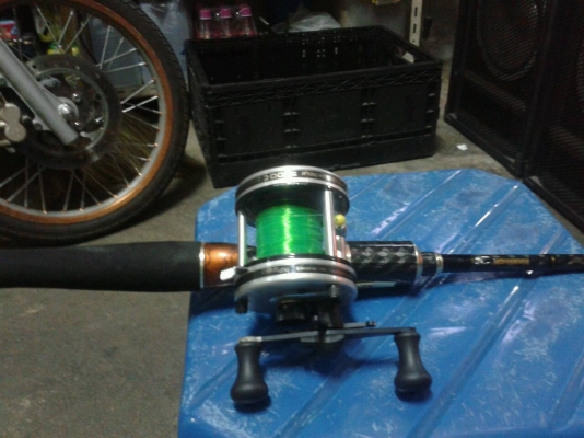 คันเบสตีเหยื่อปลอมพร้อมรอก abu