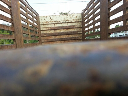 รถอีซูซุ 10 ล้อ  ( ไม่ดั้ม )  270 แรงม้า. ปี 49  ( ขายแม่ , ลูก. )   สนใจติดต่อ 081 - 6079515