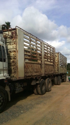 รถอีซูซุ 10 ล้อ  ( ไม่ดั้ม )  270 แรงม้า. ปี 49  ( ขายแม่ , ลูก. )   สนใจติดต่อ 081 - 6079515