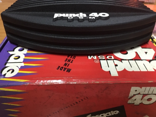 ขายRockford Fosgate PUNCH 40 DSM