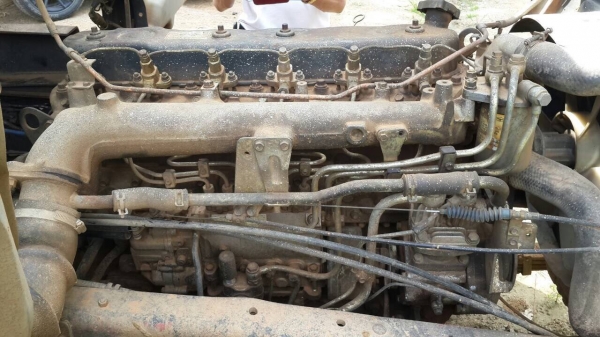 ขายดาวน์250000รถ6ล้อดั้มอีซูซุ rockky175แรง ยาง900 ส่งต่ออีก380000งวดละ15300