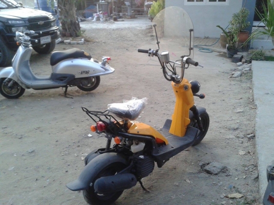 Honda bite50cc Honda bite50cc