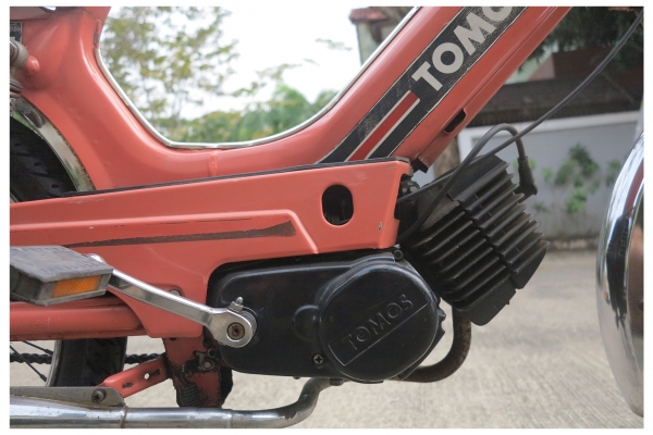 ลูกครึ่งมอเตอร์ไซด์ - จักรยาน ตราTOMOS