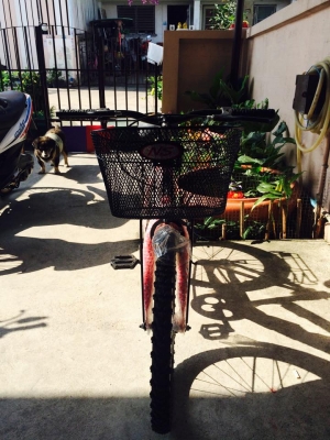 จักยานสภาพดีสีสวย