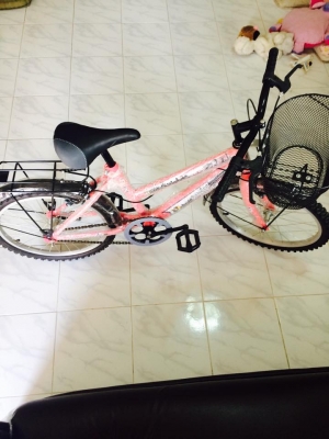 จักยานสภาพดีสีสวย