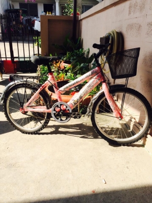 จักยานสภาพดีสีสวย