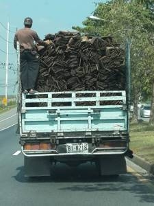 ไม้มุงหลังคางานศิลป์สนซีดาน