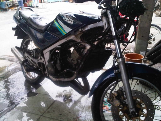 yamaha tzrทะเบียนโอน