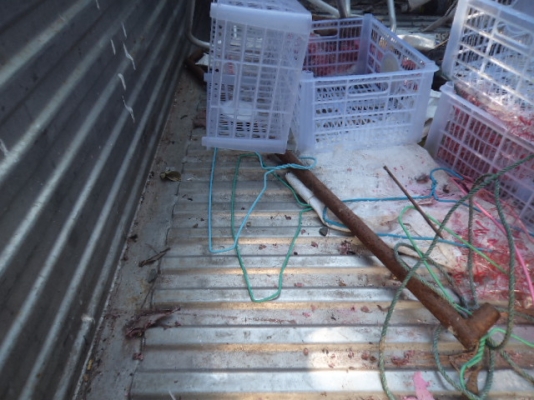 ขายกะบะรถ6ล้อสแตนเลสทั้งลูกของอีซูซุNKR สภาพสวยๆๆๆไม่มีผุไม่มีสนิม