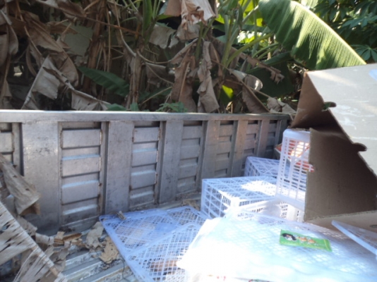 ขายกะบะรถ6ล้อสแตนเลสทั้งลูกของอีซูซุNKR สภาพสวยๆๆๆไม่มีผุไม่มีสนิม