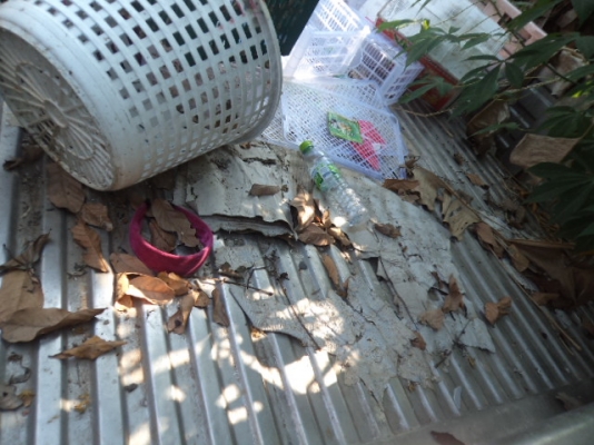 ขายกะบะรถ6ล้อสแตนเลสทั้งลูกของอีซูซุNKR สภาพสวยๆๆๆไม่มีผุไม่มีสนิม