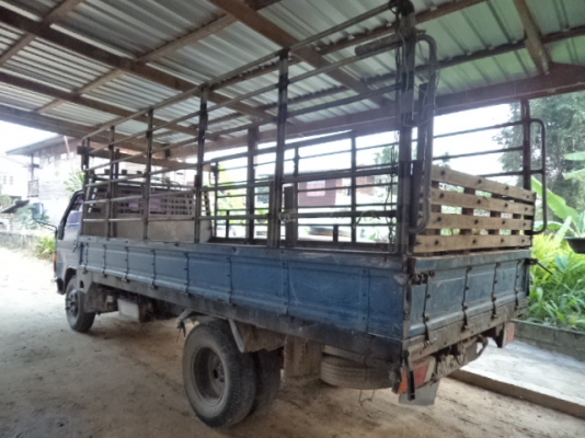 ขายรถโตโยต้า6ล้อBU87เครื่องอีซูซุ110แรง ขายไปวัดศรีสุวันนาราช จ.สุรินร์แล้วคับ ขอบคุณคับ