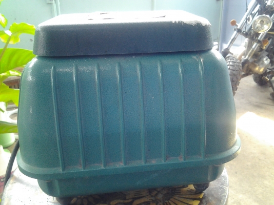 ปั๊มตู้ปลา