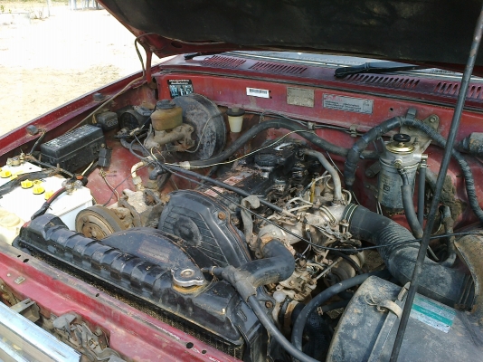 ไมตี้ตอนเดียว