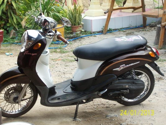 ขาย fino เดิม