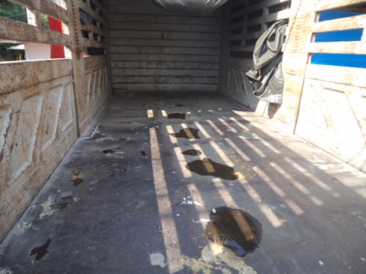 ขายรถอีซูซุเดก้า10ล้อเครื่อง195แรงม้า สภาพสวยๆพร้อมใช้งานคับ ขายรถอีซูซุเดก้า10ล้อเครื่อง195แรงม้า สภาพสวยๆพร้อมใช้งานคับ