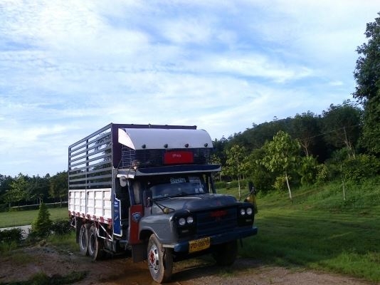 เพาเวอร์ เครื่องแน่น 6BD1 กระบะเหล็ก พื้นสแตนเลท5มิล