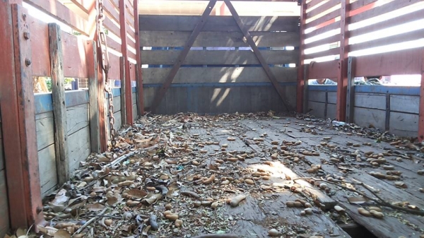 ***ขายแล้วครับขอบคุณ Truck2hand ขาย KS110 6ล้อ ช่วงล่างใหญ่ จอมลุย ISUZU KS 4BD1-110แรง ฝาขาว วางหัวNPR115 ประกอบ(ลงเล่ม) เครื่องเดิม ฝาขาวยอดนิยม เครื่องแรง แน่นดีครับ อึด ทน เกียร์ใหญ่ ลุยๆ เข้าง่ายไม่หลุด ช่วงล่างFหน้า-หลัง คัสซีดี มีเก็บงานมานิดหน่อย