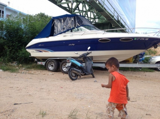 ขายเรือ searay