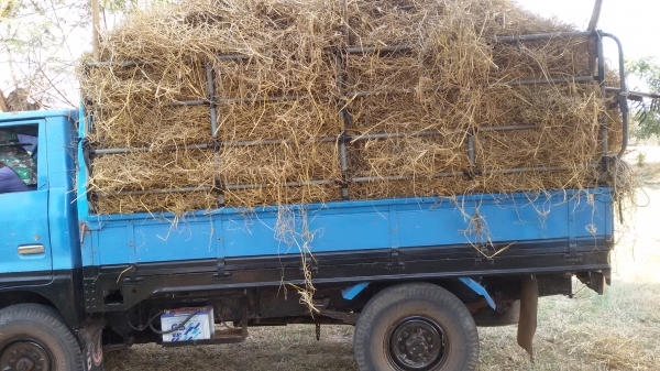 ขายด่วนสี่ล้อกลางอิซูซุ 88 แรง