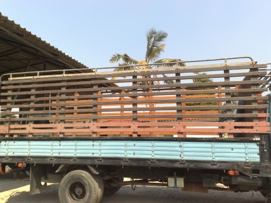 ขายคอกไม้ ขนาด ยาว 5.5 สูง 1.8 เมตร เหลือ 1 ชุดครับ